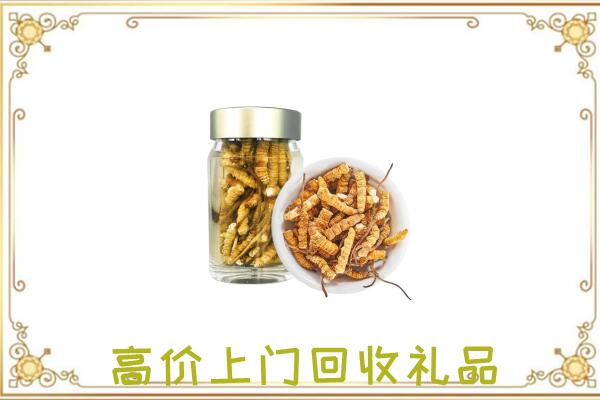白沙周边回收虫草